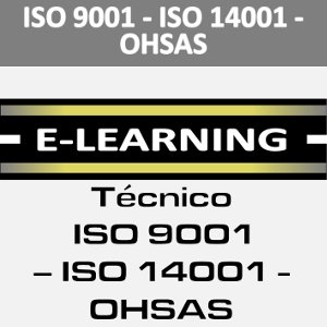 CURSO ON LINE ISO 9001 14001 Y OHSAS