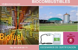 Certificación en Biocombustibles PDF