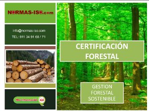 Certificación Forestal PDF